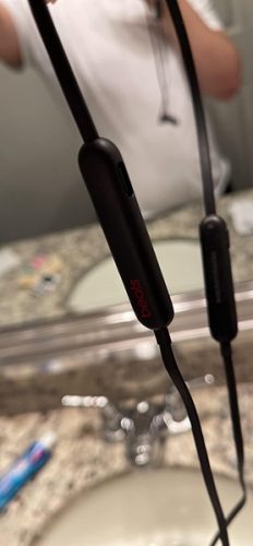 BeatsX Earphones Headphone Chip – Black photo review